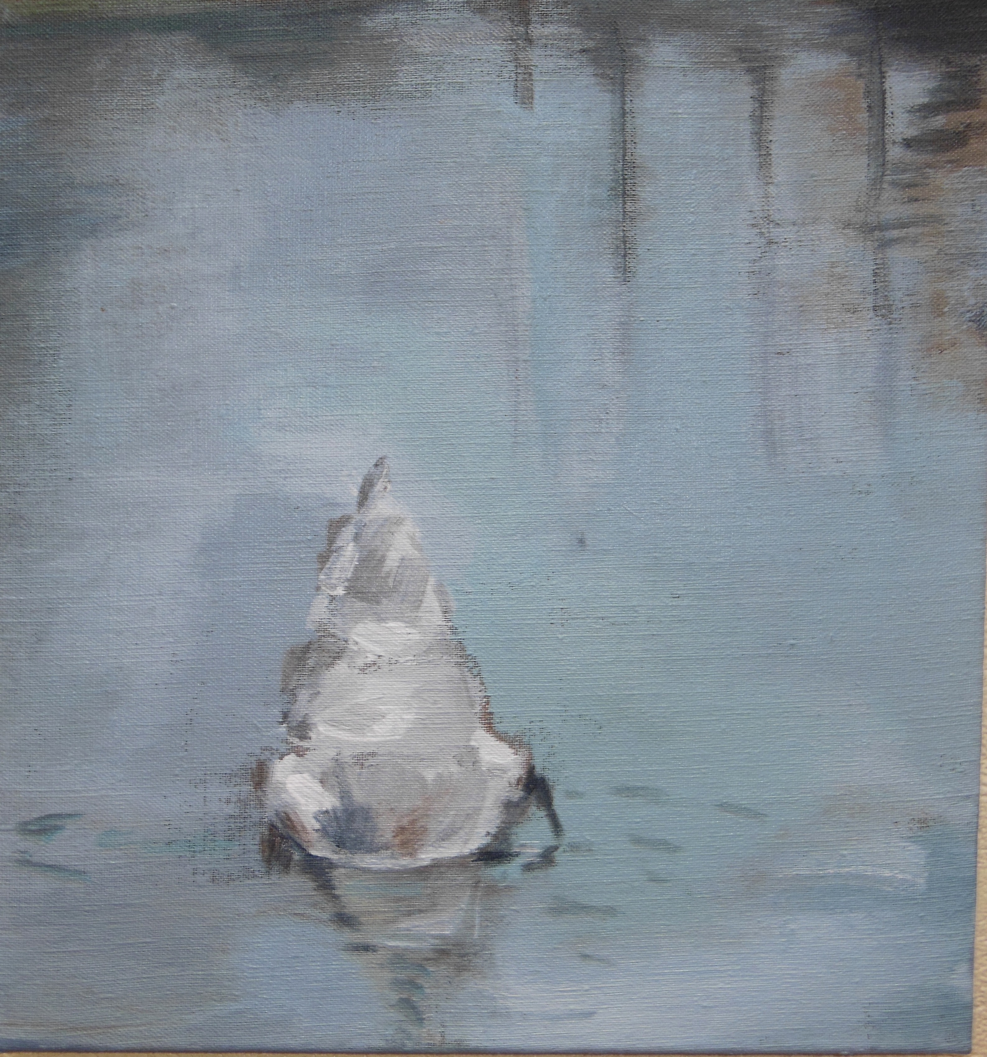 Eendeduik Kanaal Clabecq 3